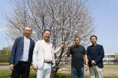 下音更小の敷地内に立つ淡墨桜が植樹から２２年目に開花したことを喜ぶ関係者ら（左から宮原さん、山本さん、阿部さん、鈴木教頭）