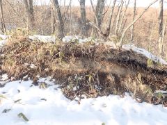 損壊されていたことが明らかになった霧止山チャシ（浦幌町立博物館提供）