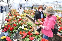 帯農高の花苗大人気　３５０人の行列も　恒例の販売会