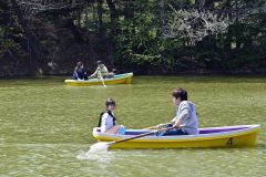 緑ケ丘公園で貸しボートを楽しむ行楽客（３日午前１０時２０分ごろ）