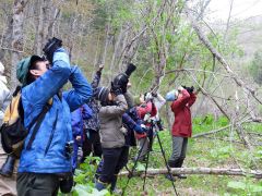 幸せの青い鳥を探そう　浦幌で移動博物館 2