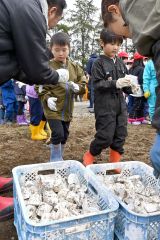 帯川西小で児童がナガイモの種植え（９日、金野和彦撮影）