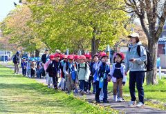 帯広市内の緑ケ丘公園を歩く一年生（１０日、午前９時２０分ごろ。金野和彦撮影）