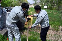 看板設置の準備をする市の担当者（帯広市西１９南４１付近、午前１０時４５分ごろ）