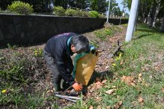 道路沿いのごみを拾う音更建協の会員