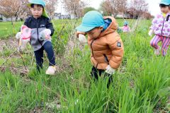 「大物」もあったよ　こども園園児がごみ拾い　大樹 4