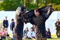 「鶴の舞」を披露する帯広カムイトウウポポ保存会のメンバー（１８日、金野和彦撮影）