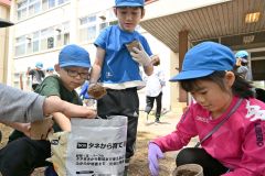 ヒマワリの種をまくために鉢に土を入れる児童