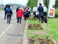 道の駅さらべつの周辺に花を植える会員たち