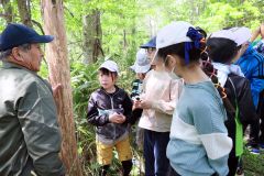 エゾシカにかじられた樹木を観察する子どもたち