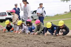 交通安全を願ってヒマワリの種をまく園児たち