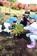 友達同士で協力し、ツリーの苗木を植える子どもたち