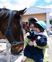 馬に触って笑顔を見せる園児