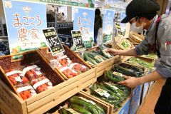 音更産野菜を扱う「まごころ農家」の売り場新設　イオン帯広店とマックスバリュ音更店