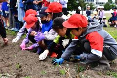 ポップコーン学び種まきも　芽室小３年生が食農教育