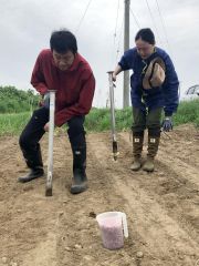 希少なくり豆や花豆の栽培に乗り出した吉田秀典さん（左）と伸香さん夫妻