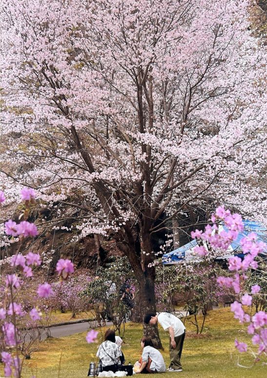 １部は久保さん、２部は太田さんが最優秀に　本別つつじ祭り写真コンテスト