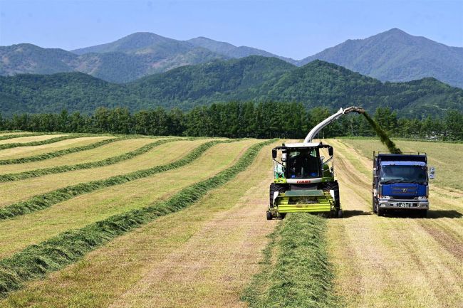 栄養たっぷり「１番牧草」　日高山脈背に収穫本格化