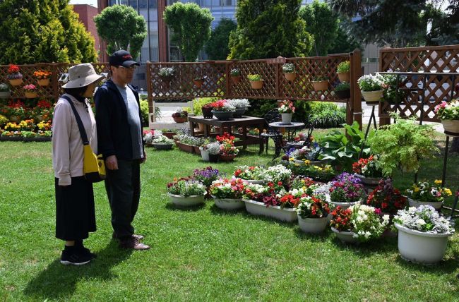 色とりどりの寄せ植え鮮やか　花コミュニケーションとかち開幕　１６日まで