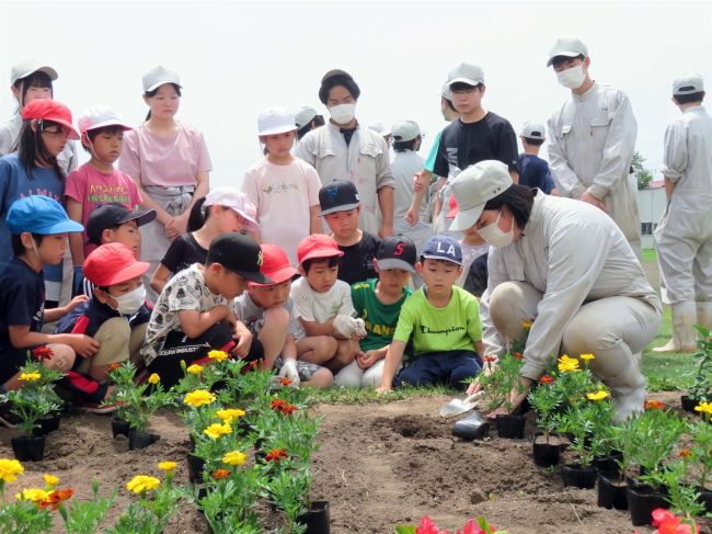 更別小の児童と更農高の生徒が一緒に花植え