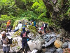 平取町山岳会が企画した町民登山で手つかずの自然を楽しむ参加者ら