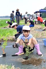 札内川の川西築堤に木の苗を植樹する子どもたち（金野和彦撮影）