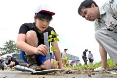 愛国小児童が治水の杜づくり（金野和彦撮影）