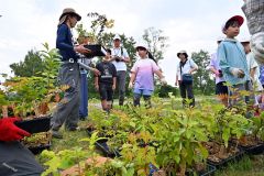 愛国小児童が治水の杜づくり（金野和彦撮影）