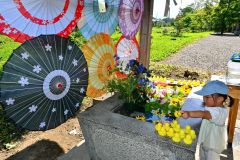 町内の尾田新生園の協力で花手水も設置。和傘も色鮮やか
