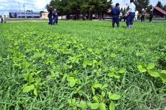 大豆とライムギの連続栽培を研究する市農業技術センターの農地