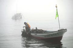 霧が立ちこめる中、磯舟に乗ってコンブを引き上げる漁業者（２５日午前５時３５分ごろ、広尾町内）