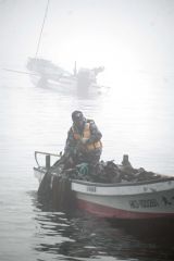 霧が立ちこめる中、磯舟に乗ってコンブを引き上げる漁業者（２５日午前５時３５分ごろ、広尾町内）