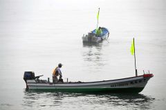 広尾沿岸で夏を告げるコンブ漁解禁 6