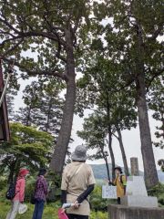 勇足神社の文化財や魅力を知った自然観察会