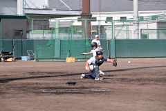 実戦形式で練習に励む白樺学園ナイン