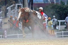 ４日の第８競走を優勝したハゴロモユニバース号。西謙一騎手は通算２０００勝を達成した（ばんえい十勝提供）
