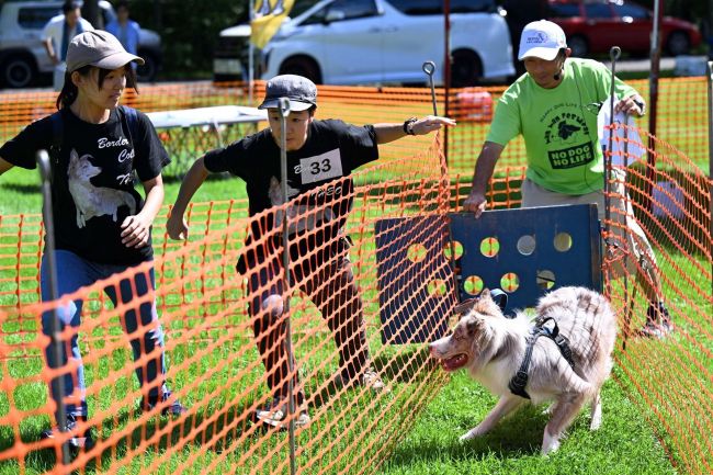 愛犬と競技に挑戦、わんわん運動会盛り上がる　音更