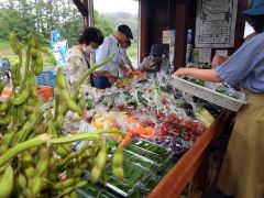 新鮮野菜が並ぶ店内で品定めする来店客