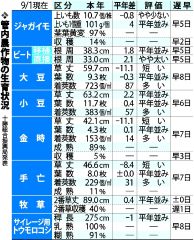 「上イモ」数やや少なく　豆類、着莢数は多く　１日作況