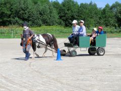 ポニーの引く馬車に乗って馬とふれ合う子どもたち