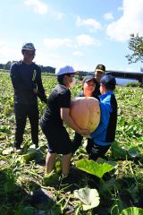 畑で収穫した観賞用の大きなカボチャを協力して持ち上げる児童たち