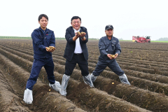 ジャガイモを収穫する（左から）杉浦大斗幕別支所長、田崎一也社長、橋詰仁組合長、（５日、午前１０時１５分ごろ、帯広市以平町で。金野和彦撮影）