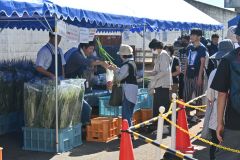 野菜を買い求める来場者ら