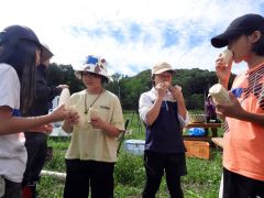 白いトウモロコシまるかじり　うらもんＧＯ！盛況　浦幌