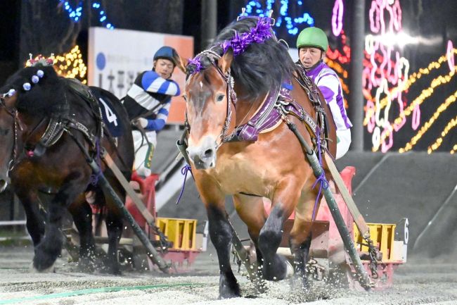 メムロボブサップ圧勝、重賞１９勝目　ばんえい岩見沢記念