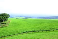 ナイタイ高原牧場の頂上から見られる景色