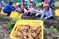 「大きくてびっくり」　広尾小児童がジャガイモ収穫を体験