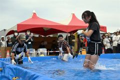 秋サケのつかみ取りに奮闘する子ども（２１日午前１１時１５分ごろ、須貝拓也撮影）