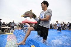 秋サケのつかみ取りで奮闘する参加者（２１日午前１１時ごろ、須貝拓也撮影）