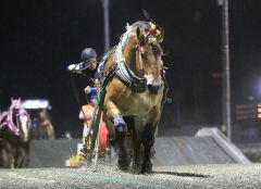 異次元の末脚を見せたタカラキングダムと金田利貴騎手（ばんえい十勝提供）